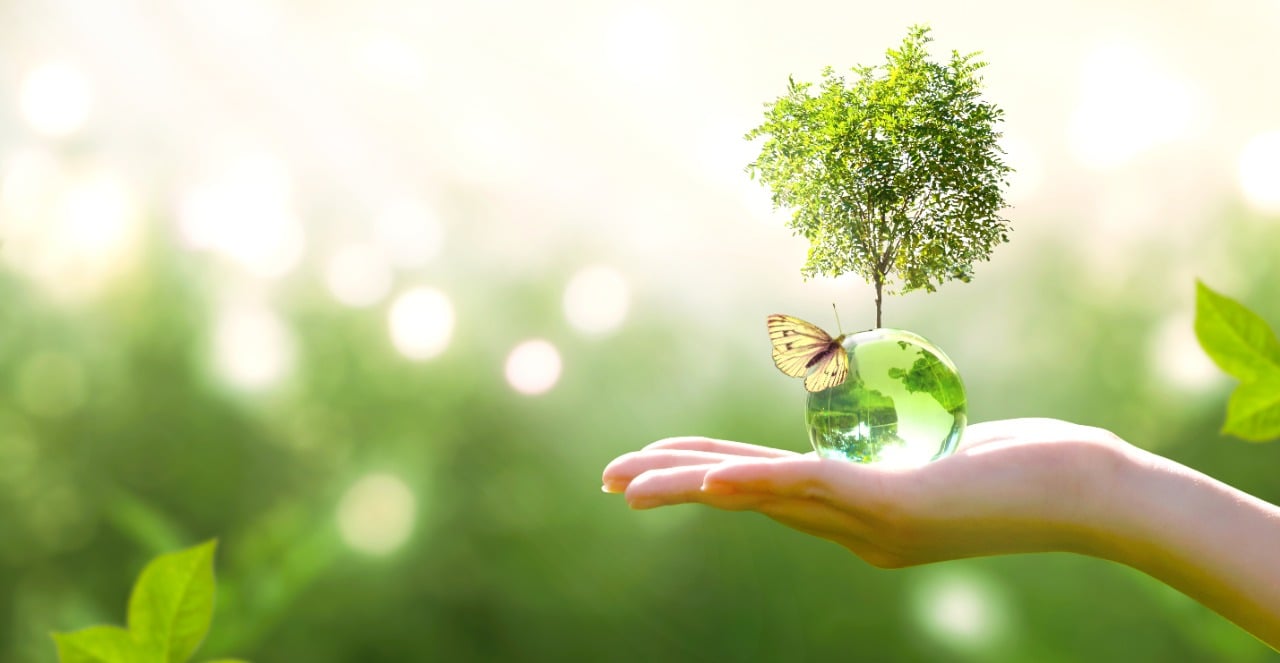 We provide our clients with the guidance to develop sustainable projects and assist them with the required certification of assets and projects as having a reduced environmental impact. 